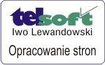 TelSoft Opracowanie stron